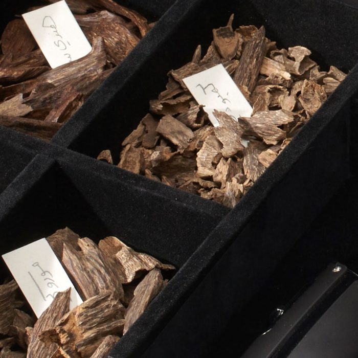 Roshina 1 Petrol - Image 6