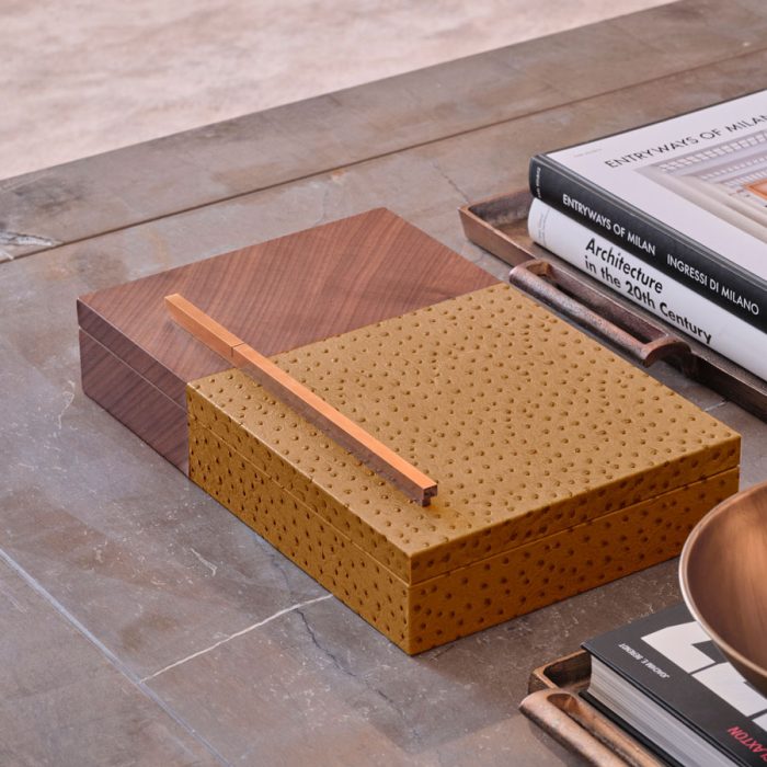 ⁦روشنة 3 جملي⁩ - الصورة ⁦5⁩